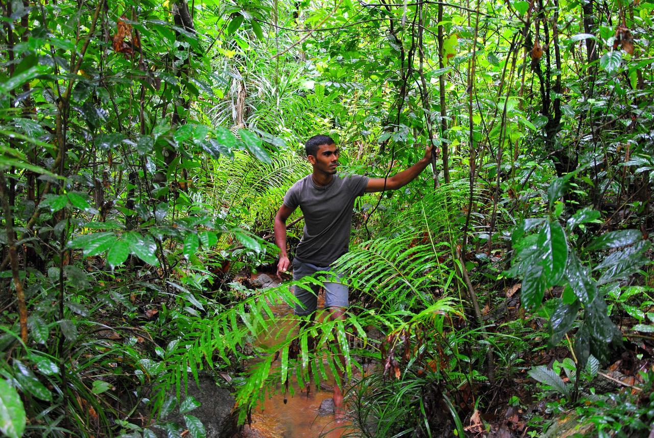 Jungle River Ginigathena Bagian luar foto