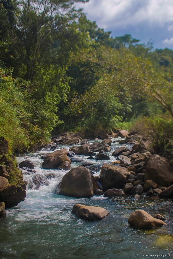Jungle River Ginigathena Bagian luar foto