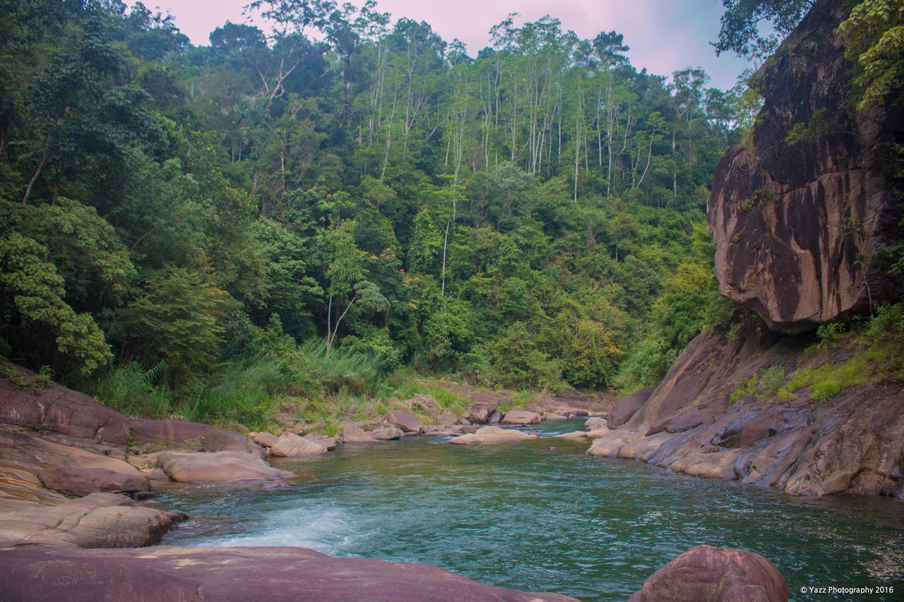 Jungle River Ginigathena Bagian luar foto