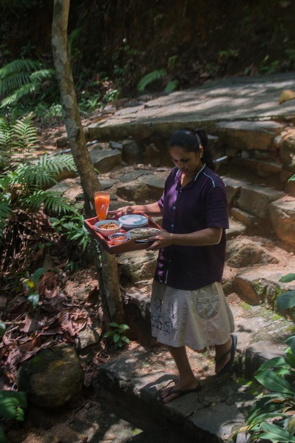 Jungle River Ginigathena Bagian luar foto