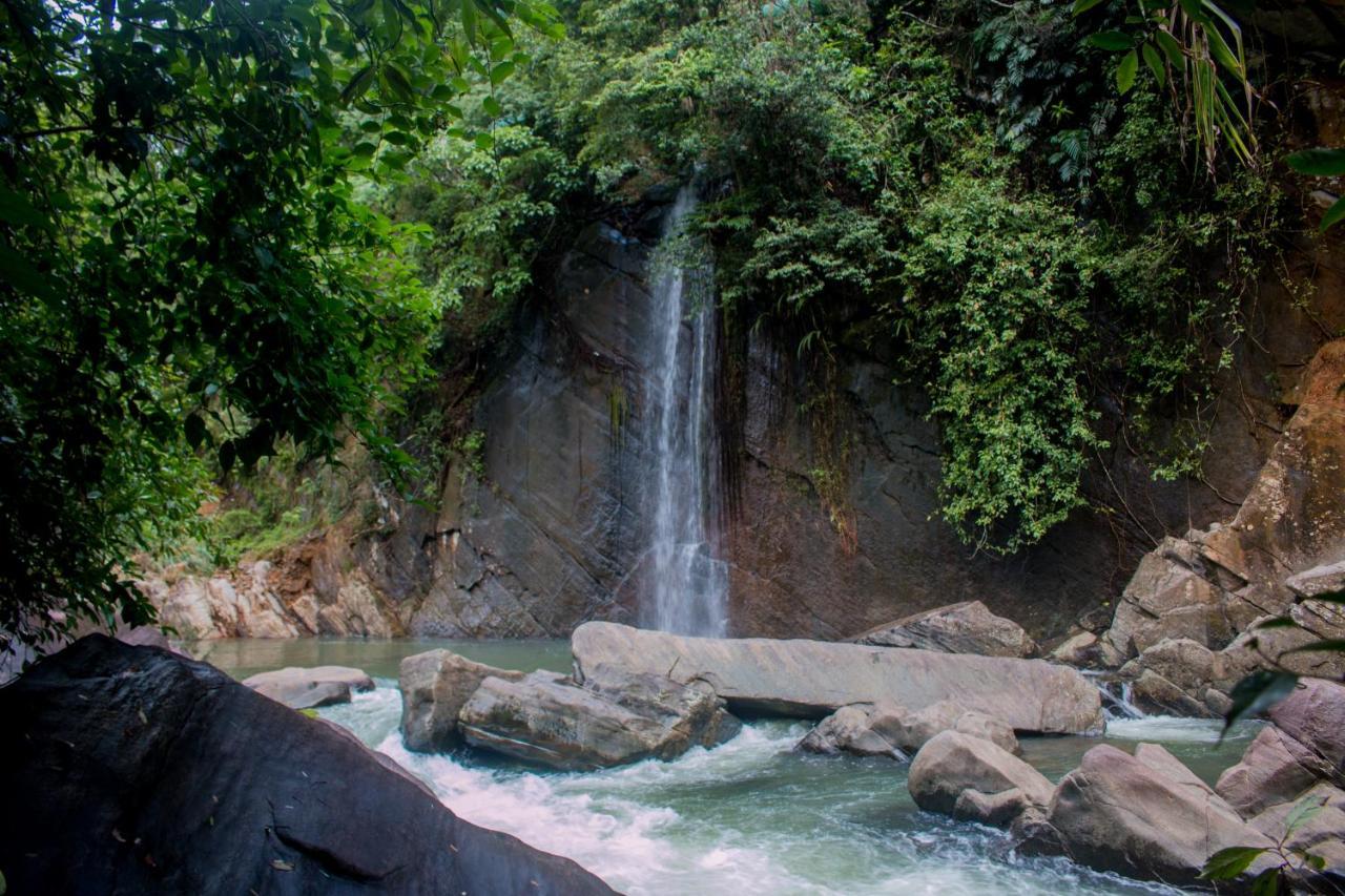 Jungle River Ginigathena Bagian luar foto