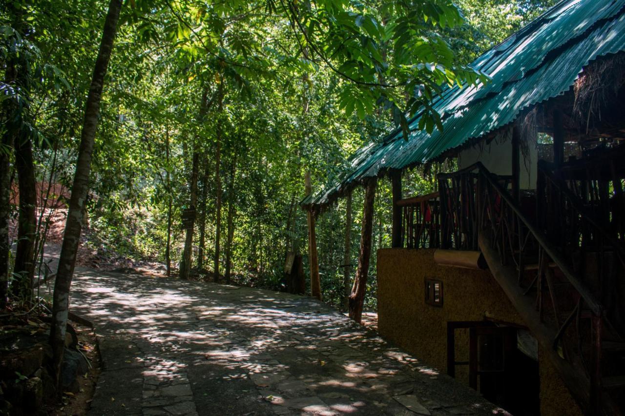 Jungle River Ginigathena Bagian luar foto